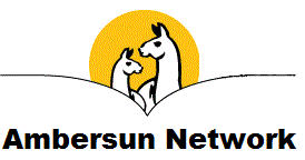 Ambersun network