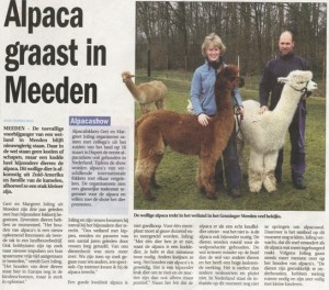 weekblad Groningen