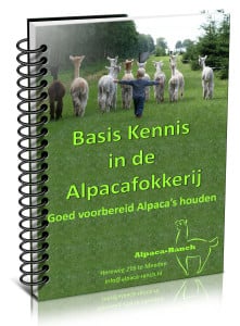 Cursus basiskennis in de alpacafokkerij